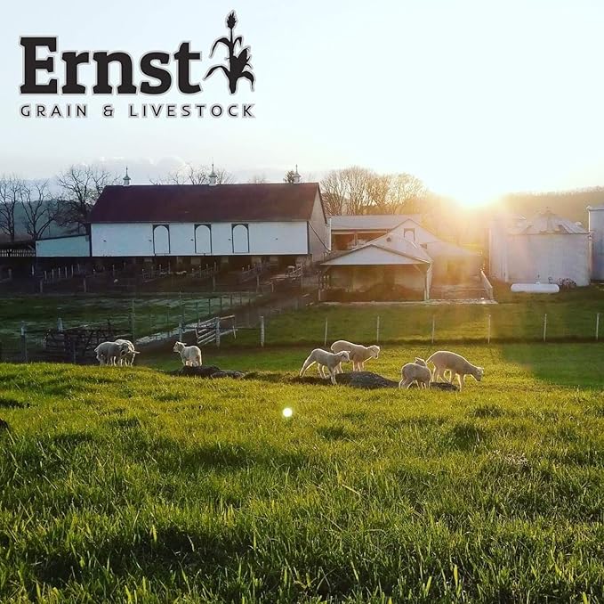 Ernst Grain & Livestock Bird and Wildlife Feed – Perfect for Birds, Ducks, Squirrels, Turkeys, Rabbits, Geese, and Deer – Non-GMO Wild Animal & Bird Feed for Outside Feeders (25lb Bag)