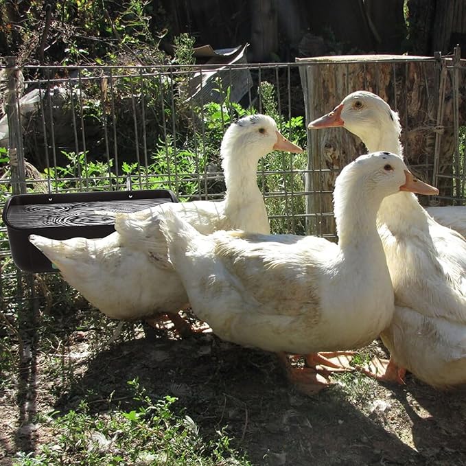 6 Pack Goat Feeders Hanging 3.5 Quart Chicken Feeder Waterer Trough, Goat Mineral Feeder Fence Feeder for Livestock Poultry, Duck, Black