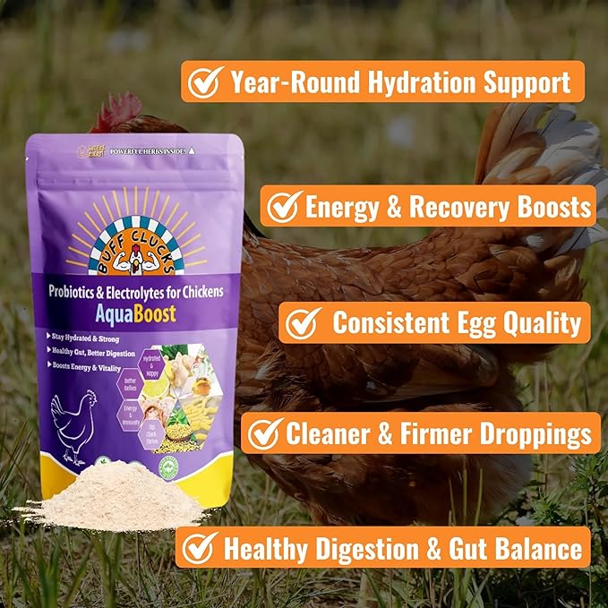 AquaBoost Probiotic + Electrolyte Powder for Chickens – Natural Hydration & Gut Support Supplemnet for Daily Wellness & Egg Production - Safe for All Flocks & Ages - USA (8 oz)