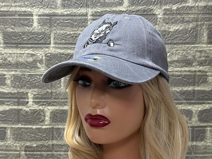 Embroidered Baseball Hats for Men and Women