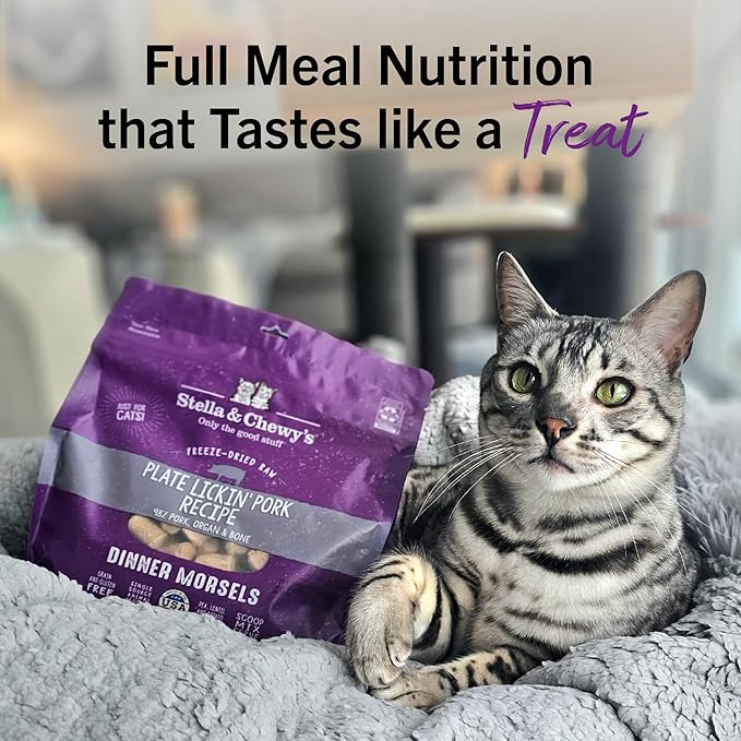 Stella & Chewy's Freeze-Dried Raw Cat Dinner Morsels - Premium Pork Recipe with 98% Responsibly-Sourced Meat & Organs - Natural Grain-Free Cat & Kitten Food - Made in USA - 8 oz