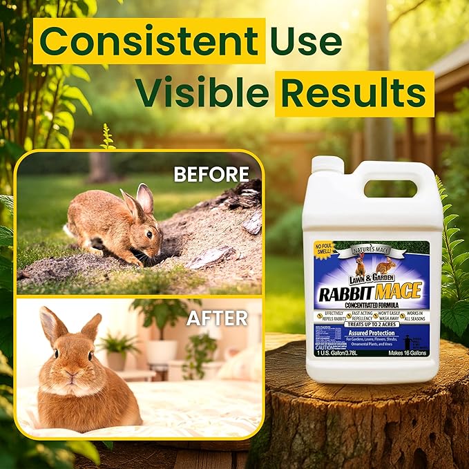 Nature’s MACE Rabbit Mace, Rabbit Repellent for Outdoors, 1 Gallon Concentrate, Covers 2 Acres, Rabbit Deterrent Spray for Lawn, Yard, Garden, Landscape, Safe to Use Around People, Pets, & Plants