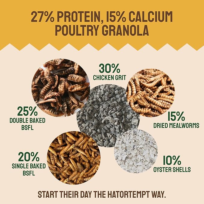 Hatortempt Chicken Feed Granules - 10 lb, Non-GMO - Protein-Rich Meal Worms & Black Soldier Fly Larvae & Oyster Shell Grubs Mix - Calcium Grit & Treats for Chickens - Egg Layer Feed