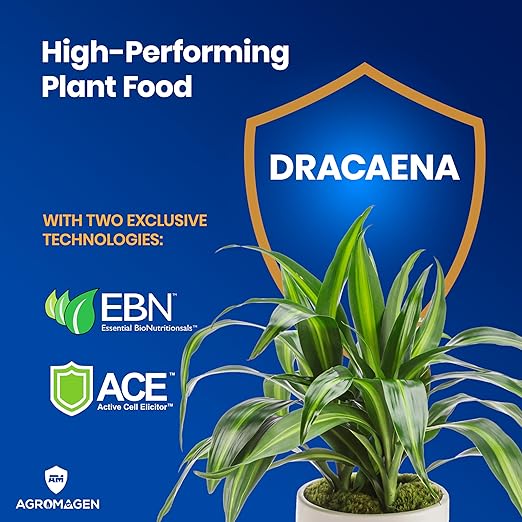 Plant Food with Essential Nutrients & Chelated Micronutrients, Liquid Fertilizer (4 fl.oz.) (Dracaena)