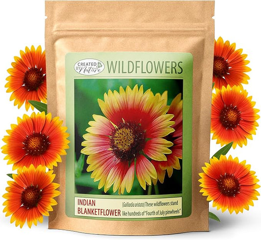 Created By Nature Indian Blanketflower Seeds, 5,640 Perennial Seeds