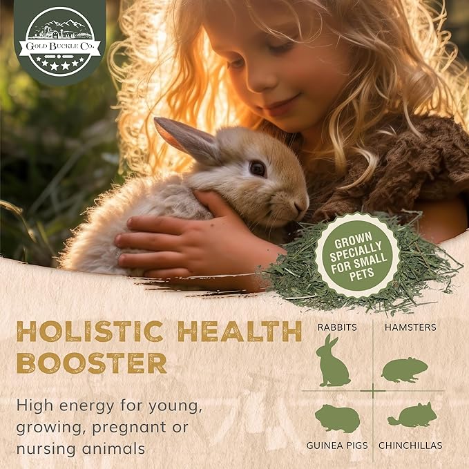 20lb Farm Fresh, USA Grown, Organic Alfalfa Hay for Rabbits, Guinea Pigs, Chinchillas, Goats, Hamsters & Ferrets - Small Animal Food Rich in Protein & Fiber - Just Dried, Hand-Selected