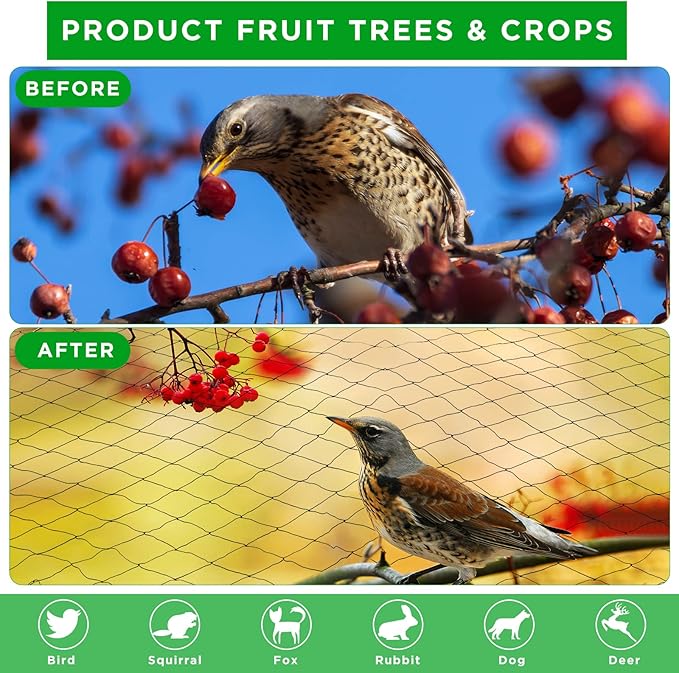 Windyun 1 Pc Bird Netting Bird Net Chicken Coop 2.4" Mesh Heavy Duty Deer Fence Aviary Net Reusable Fruit Tree Poultry Barrier for Garden Protection Vineyard Against Hawk Squirrel, Black (50' X 100')