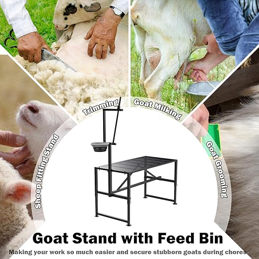 600 Lbs Goat Milking Stand with Feed Bin, Livestock Stand for Sheep Trimming Hooves, Goat Stantion Metal Black with Adjustable Head Piece and Legs, Large Size