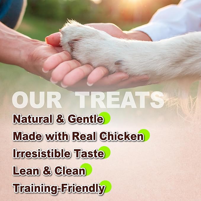 AFreschi Natural Chicken Dipped Rice Bone 16 oz, All Natural, Grain-Free, High-Protein, Healthy & Easily Digestible, Soft Texture