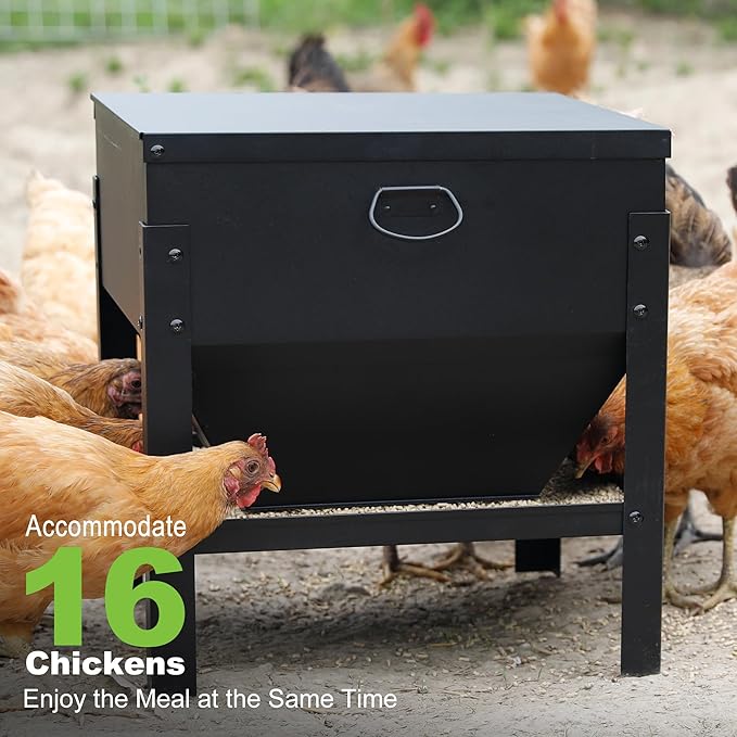 Solution4Patio All Metal Chicken Feeding Box 80 lbs Large Capacity Portable, Waterproof Lid, Hens and Roosters, No Waste Coop Poultry, Galvanized Steel Feeder Standing for Chickens