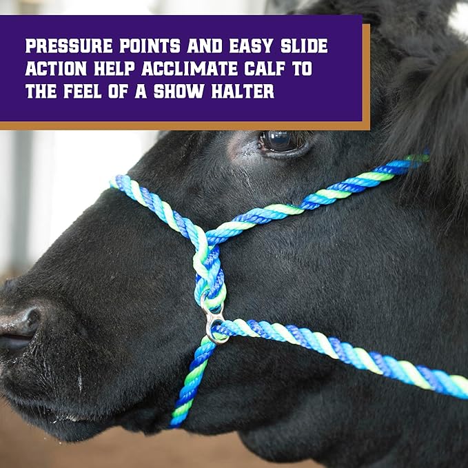 Weaver Livestock Poly Rope Breaking Cattle Halter, Adjustable, Modern Style Cow Calf Halter, Livestock Handling Equipment for Showing, Black