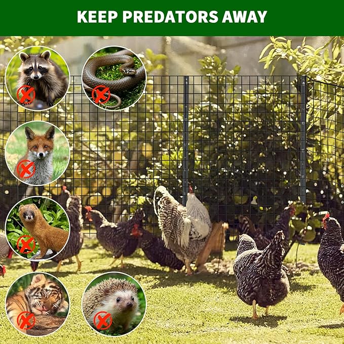 1/2 Inch 19 Gauge Hardware Cloth 48x100 Ft–Black Vinyl Coated Galvanized Mesh | Black Chicken Wire, Poultry Netting, Garden Fencing, Rat Wire & Tree Protection