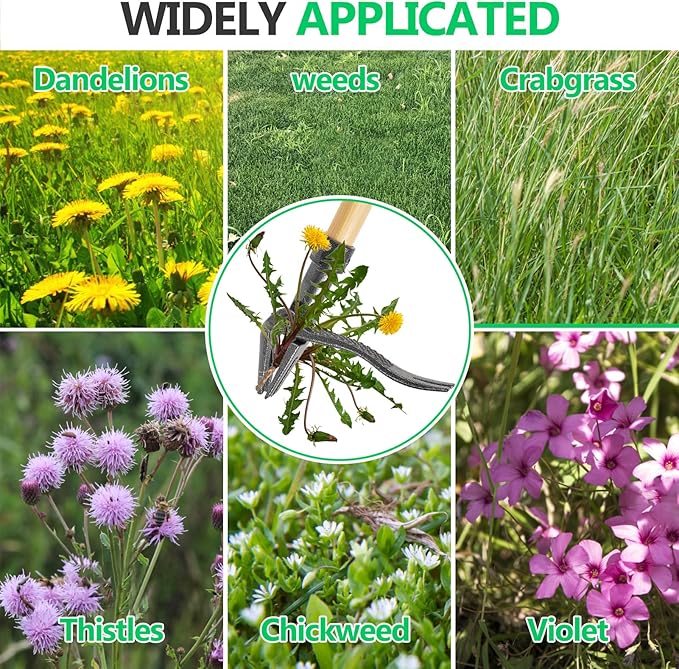 Weed Puller Tool, Stand Up Heavy Duty Root Removal Tool with 4-Claw Head & Long Handle, Garden Hand Weeding Tool - Easily Remove Weeds Without Bending, Pulling,or Kneeling