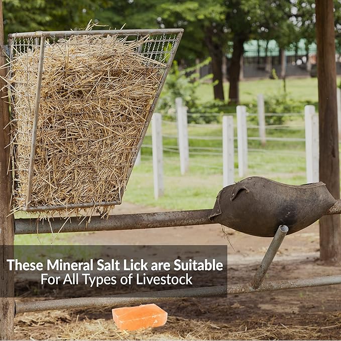 100% Natural Himalayan Rock Salt Block - Rich Mineral Salt Licking Brick for Animals, Horses & Deer Ideal for Animal Health & Nutrition | 5-8 LBS