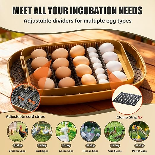 Incubators for Hatching Eggs, 24 Egg Incubator with Automatic Egg Turning and Humidity Control, Egg Candler, 360° Viewing, Chicken Incubators for Hatching Eggs, Quail Eggs, Duck Eggs Poultry