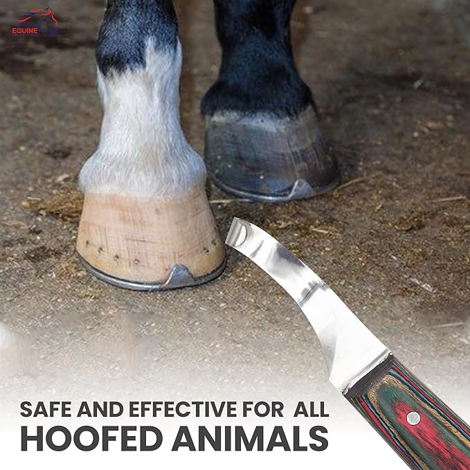 Equine Care Farrier Hoof Knife (Right-Handed) | Razor Sharp J2 Stainless Steel Blade, Ergonomic Handle | Professional Grade Precision Tool for Horse, Cow, Goat & Livestock Hoof Trimming & Shoeing.