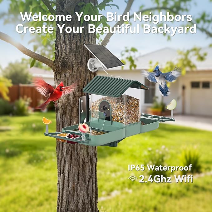 Dual-Lens Bird Feeder with Camera & Bird Bath Combo, Watch Birds Eat & Bathe with WiFi 2K HD Video, Auto Record, AI Recognition, APP Alerts, Solar Powered, for Backyard Garden Porch Fence Decor