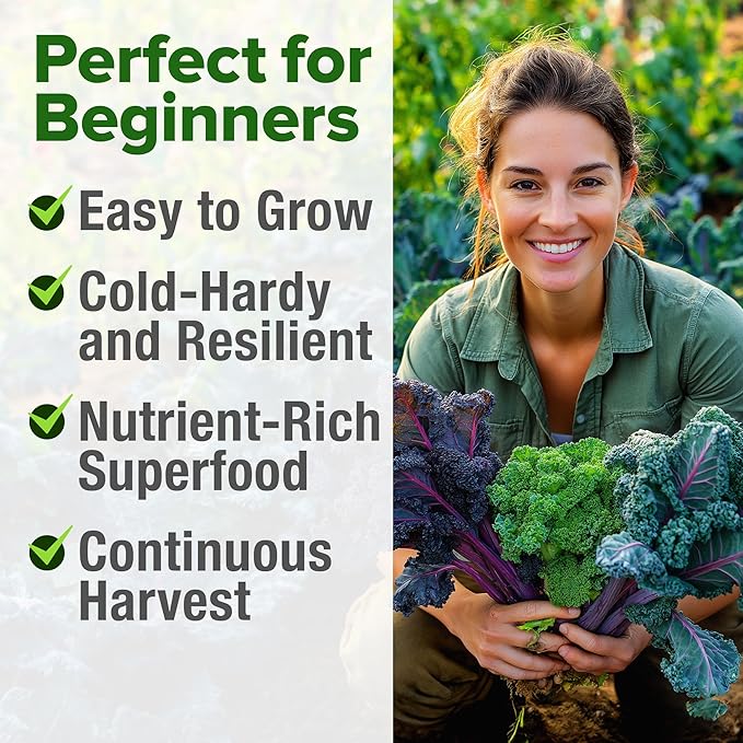 HOME GROWN Heirloom Vegetable Seeds Vegetable Seeds for Planting Home Garden, Beans, Carrots, Peppers, Cucumber, Kale, Pepper Seeds, Tomato (4 Kale)