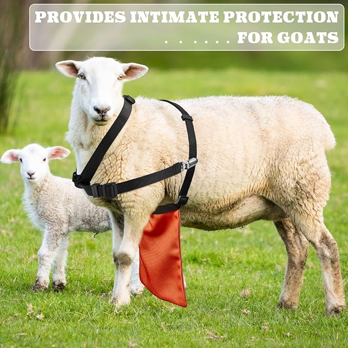 Kajaia 2 Pcs Goat Apron Anti Breeding, Anti Mating Skirt Sheep Skirt Control Buck with Adjustable Chest Strap and Collar for Goats and Sheep M Size