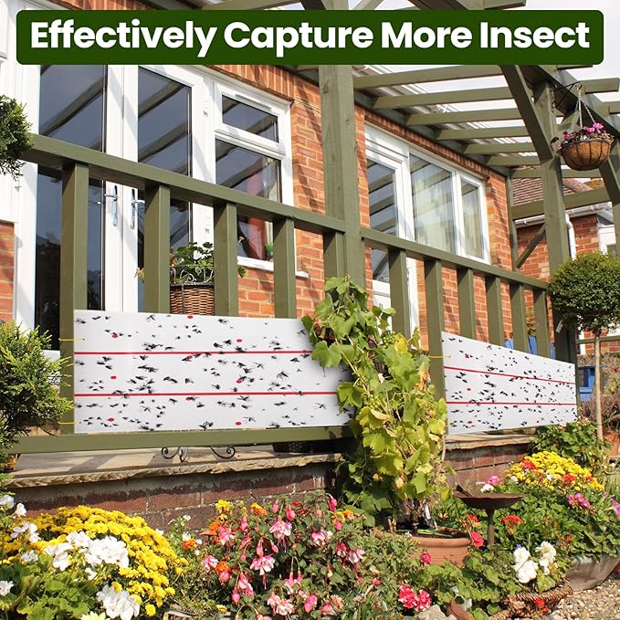 Qualirey Giant Sticky Fly Traps,30 Feet Fly Strips for Indoor Outdoor Hanging Flying Tapes Non Toxic Ribbon Fruit Gnat Killer for Mosquito Plants House Horse Stable (White,2 Pcs)