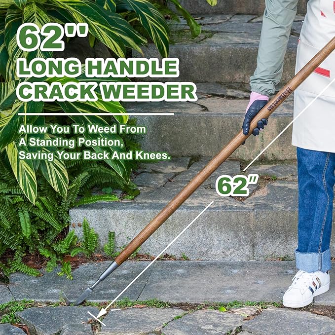 Haliaeetus Long Handle Crack Weeder Tool, 62'' L-Shape Stainless Steel Crevice Weeding Tool, Comfortable Wood Handle Paver Weeder, Sidewalk Weed Removal Tool for Driveway, Bricked Patio,Terrace Paving