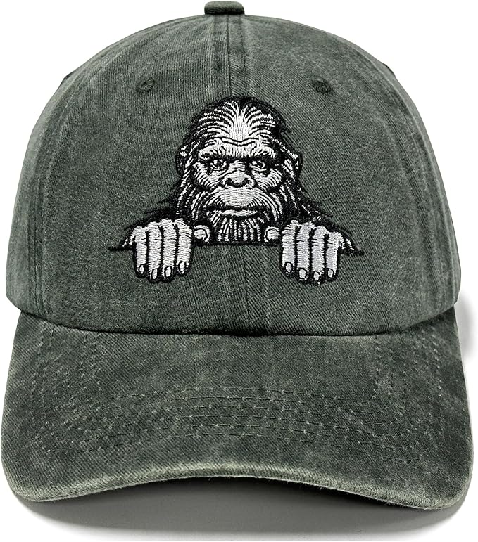 Embroidered Baseball Hats for Men and Women