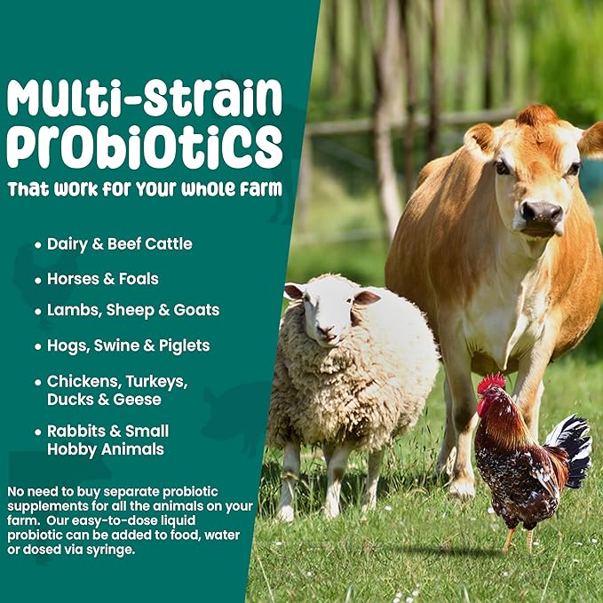 SCD Bio Livestock - Liquid Probiotic Feed & Water Additive, Organic Digestive Supplement for Cows, Pigs, Horses, Chickens, Ducks, Rabbits by SCD Probiotics - 1 Liter (4 Pack)