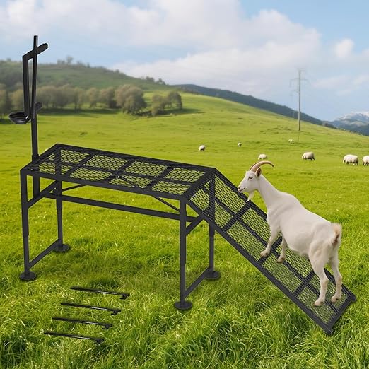 Goat Milking Stand for Sheep & Goats – Adjustable Metal Trimming Platform with Ramp – Sturdy Livestock Grooming Stand with 18.5–28.8" Height Range