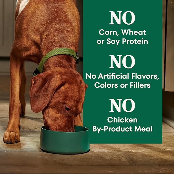 Nutro Natural Choice Senior Dog Food, Lamb & Brown Rice Recipe, 30 lb. Bag