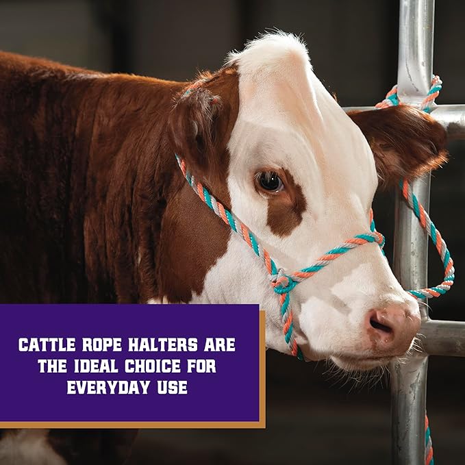 Weaver Livestock Braided Poly Rope Cattle Halter, Adjustable, Modern Style Cow Calf Halter, Livestock Handling Equipment for Showing, Coral/Gray/Teal