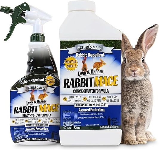 Nature’s MACE Rabbit Mace, Rabbit Repellent Outdoor, Spray & Concentrate Kit, Covers 29,400 Sq Ft, Rabbit Deterrent for Lawns, Yard, Garden, Mint Scent Spray, Safe to use around Pets, People, & Plants