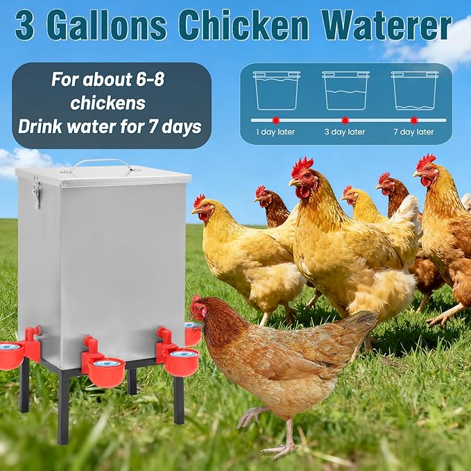 Chicken Waterer 3 Gallons,Stainless Steels Automatic Chicken Waterer ,Poultry Watering No Waste 4 Water Cups Chicken Waterer and 4 Horizontal Automatic Chicken Nipples,with Latch and Bottom Bracket