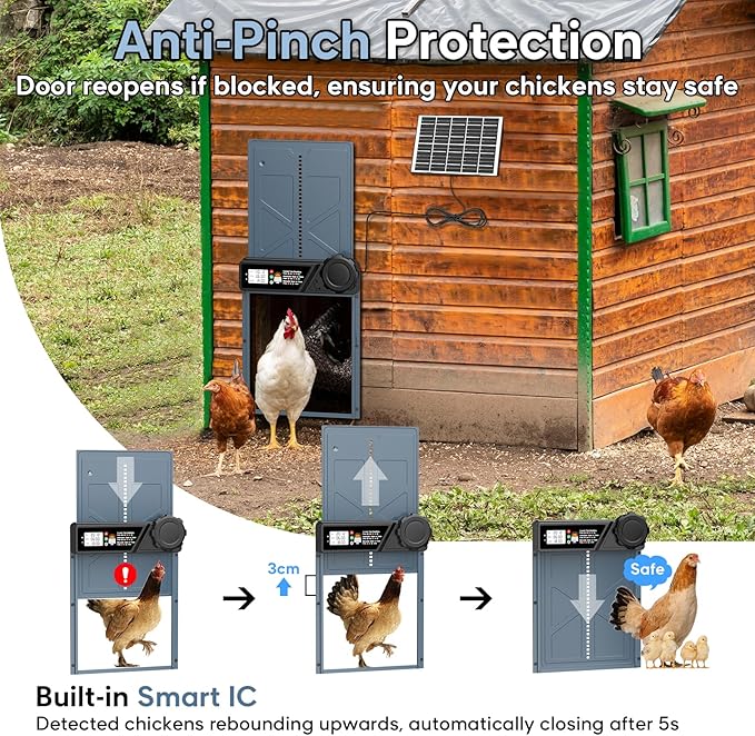 Large Size Automatic Chicken Coop Door Solar - Powered Auto Chicken Door Opener, Timer Modes for Safe and Convenient Chicken Keeping with Intelligent Obstacle Sensors, Remote Control, 14.2"H x 10.83"L