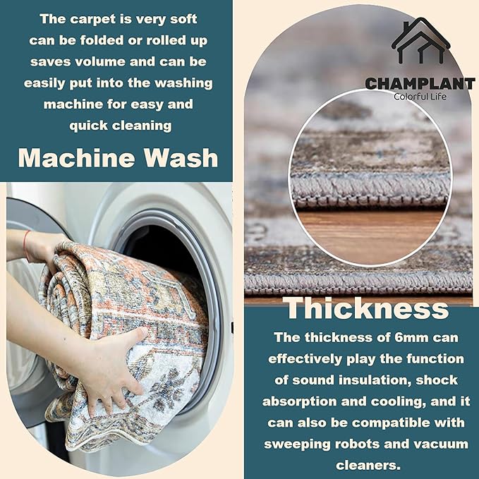 2'x3' Light Cyan and Light red Area Rug Washable Door Mat Vintage Distressed Doormat Indoor Entrance Traditional Thin Floral Print Non Slip Carpet for Kitchen Bathroom Bedroom