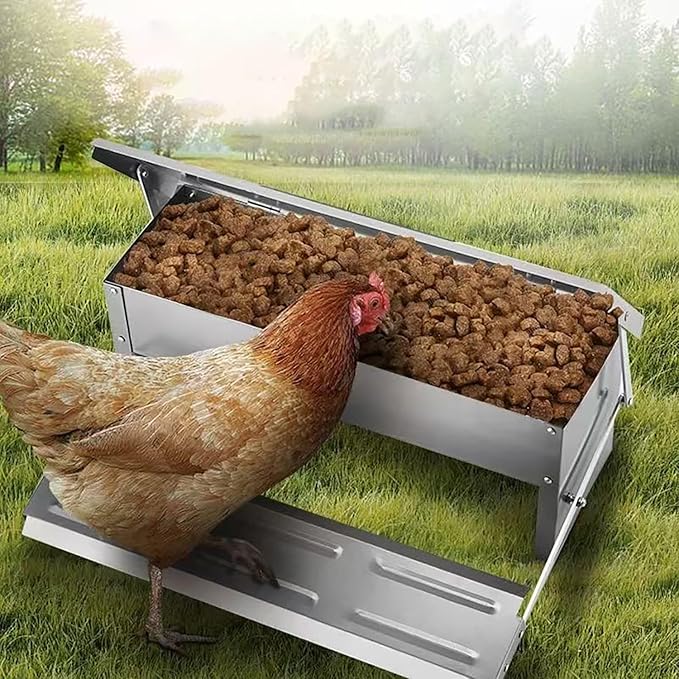 2025 New Treadle Chicken Feeder Automatic 15 lb Large Capacity and Sturdy Galvanized Chicken Feeder with Rat Proof and Waterproof lid Pedal operates The Automatic Switch No Waste and spillage