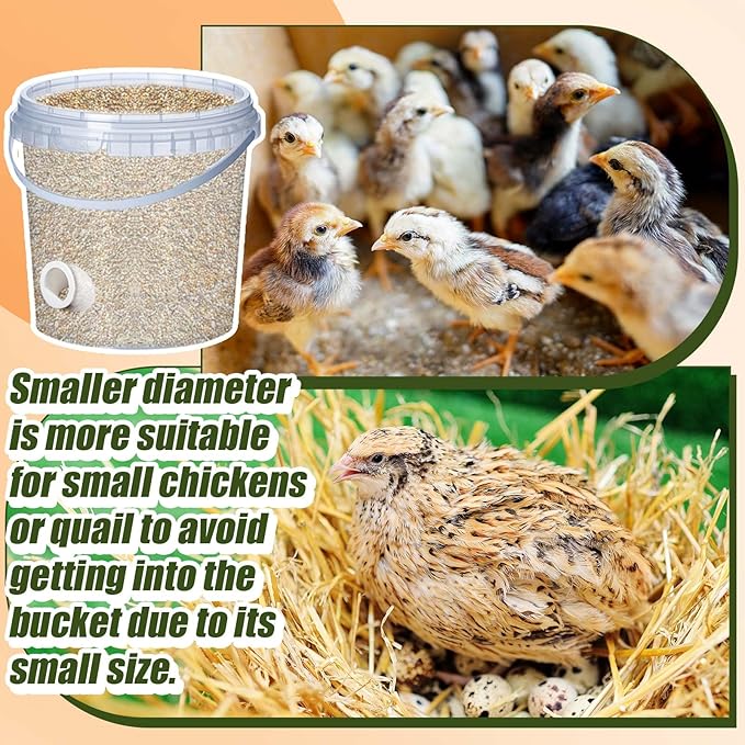 10 Pack Quail Feeders No Waste Chicken Feeder Port 1.5 Inch DIY Chick Feed Saver Quail Supplies for Coturnix Small Poultry Farm Bucket Bin Container