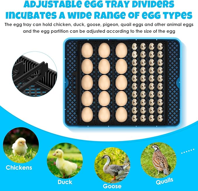 25 Egg Incubator Digital Poultry Hatcher Machine with Automatic Egg Turning, incubators for Hatching Eggs, Temperature & Humidity Control, LED Screen, General Purpose Incubator