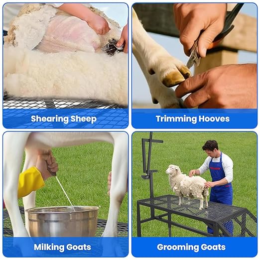 Goat Milking Stand for Sheep & Goats – Adjustable Metal Trimming Platform with Ramp – Sturdy Livestock Grooming Stand with 18.5–28.8" Height Range