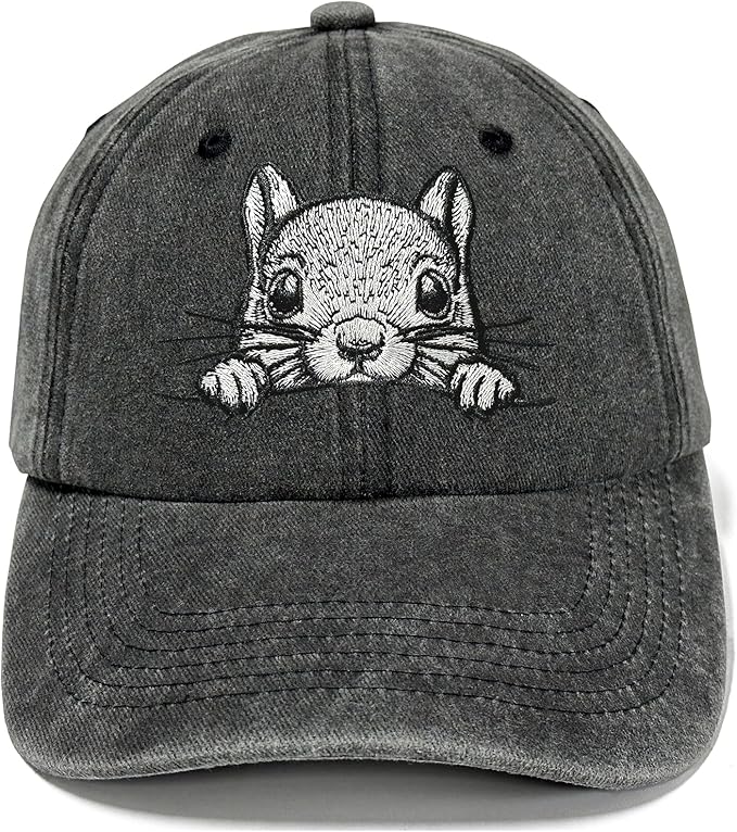Embroidered Baseball Hats for Men and Women