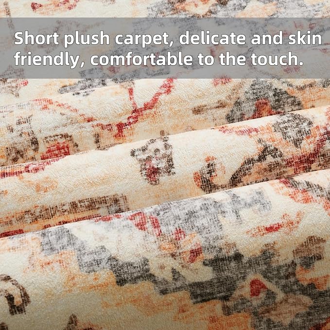 Area Rug 2x3 Door Mat,Washable Rugs,Stain Resistant Soft Thin Rug,Vintage Home Decor Non-Slip Rugs,for Bedroom,Office,Farmhouse,Front Door,Entryway