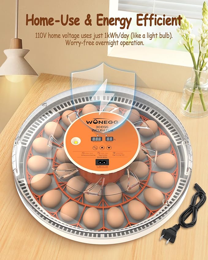 30 Egg Incubators for Hatching Eggs with Automatic Egg Turner, Auto Temperature Control, LED Candling, Humidity Monitor, 360° Viewing for Chicken Quail Parrot Birds