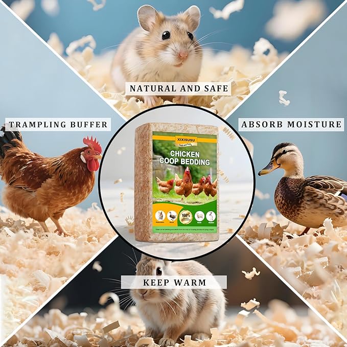Pine Shavings, Wood Shavings, Chicken Coop, Small Animal Bedding, Chicken Coop Bedding, Odor Control for Pet Guinea Pigs, Rabbits, Hamsters, Gerbils, and Chinchillas (2 LB)