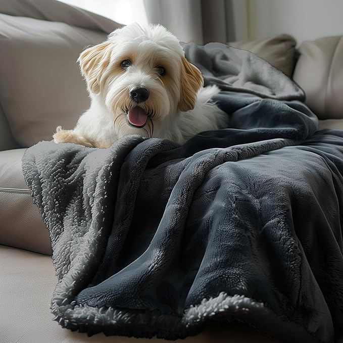 Waterproof Blanket Double Size - Sherpa Fleece Reversible Throw, Soft Warm Leak-Proof Bed & Couch Protector for Kids, Pets & Everyday Spills (Charcoal Grey/Silver Grey, 85x90)