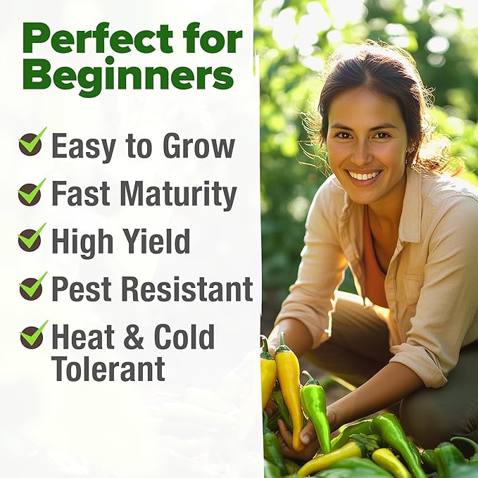 HOME GROWN Banana Pepper Seeds 2 Pack (Capsicum annuum) – 188 Heirloom Seeds, High Germination Vegetable Seeds – Growing Sweet Banana Peppers Indoors or Garden