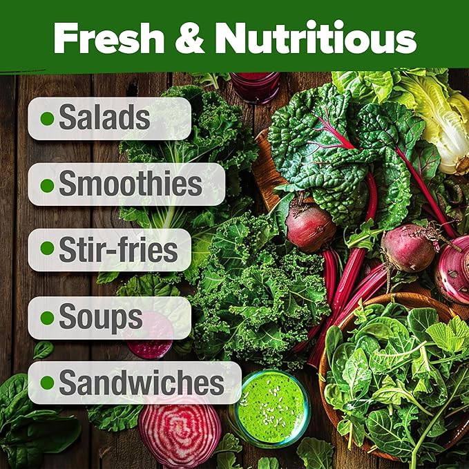 HOME GROWN 11,500+ Heirloom Lettuce Seeds - 10 Varieties Including Romaine, Buttercrunch, Iceberg, Kale & Spinach - Non-GMO USA Seeds for Planting Indoor, Outdoor & Hydroponic Gardens