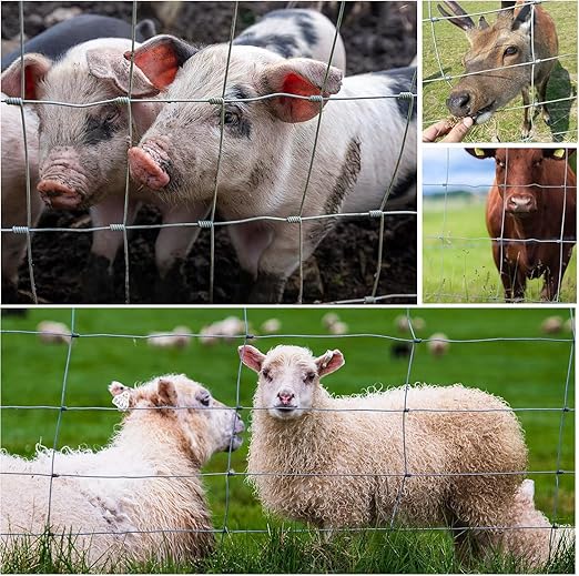 Cattle Panel for Deer Fence, Goat Fence, Cattle Fence - 3ft x 164ft 14Gauge Galvanized Wire Garden Animal Barrier for Small Livestock, Poultry, Rabbit and Dog Enclosures, Field Fence Roll