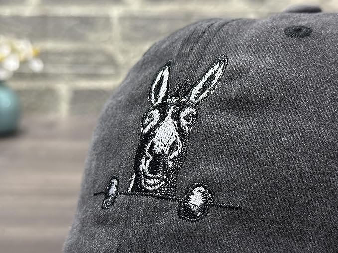 Embroidered Baseball Hats for Men and Women