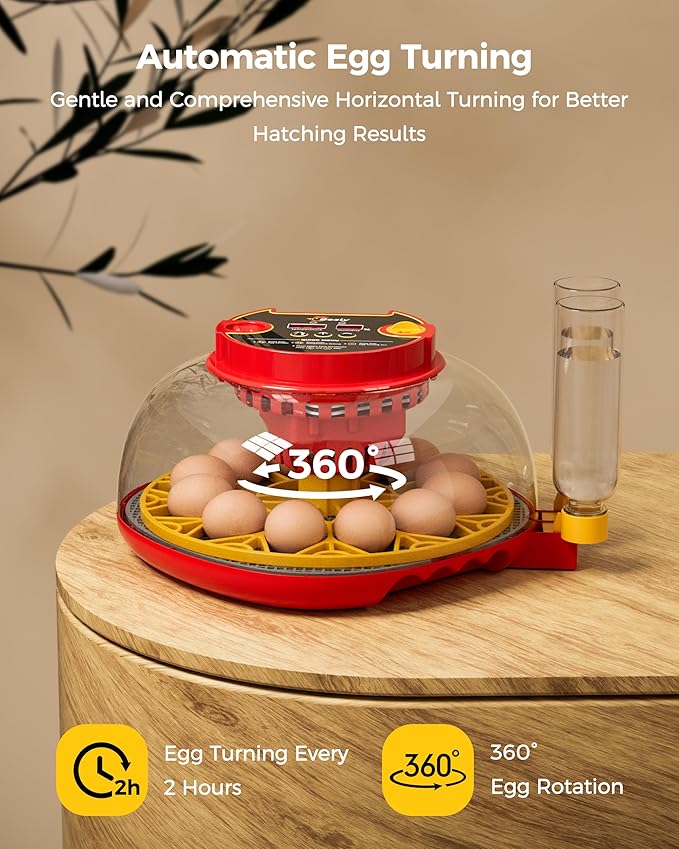 Incubator for Hatching Eggs,Automatic Turning,Temperature and Humidity Control Display,360° Viewing for Chicken, Duck, Quail Eggs, Ideal for Farm, Classroom, Home Use,2025 Upgraded 12 Egg Incubators