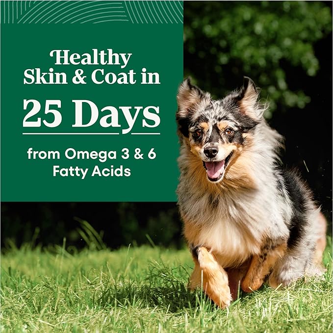 Nutro Natural Choice Senior Dog Food, Lamb & Brown Rice Recipe, 30 lb. Bag