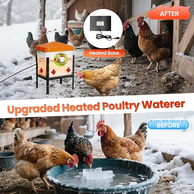Nexum 2 Gallon Heated Chicken Waterer, Thermostatically Controlled Anti-Freeze Poultry Drinker with 4 Nipples & Adjustable Stand for Winter Coop Accessories (Orange)